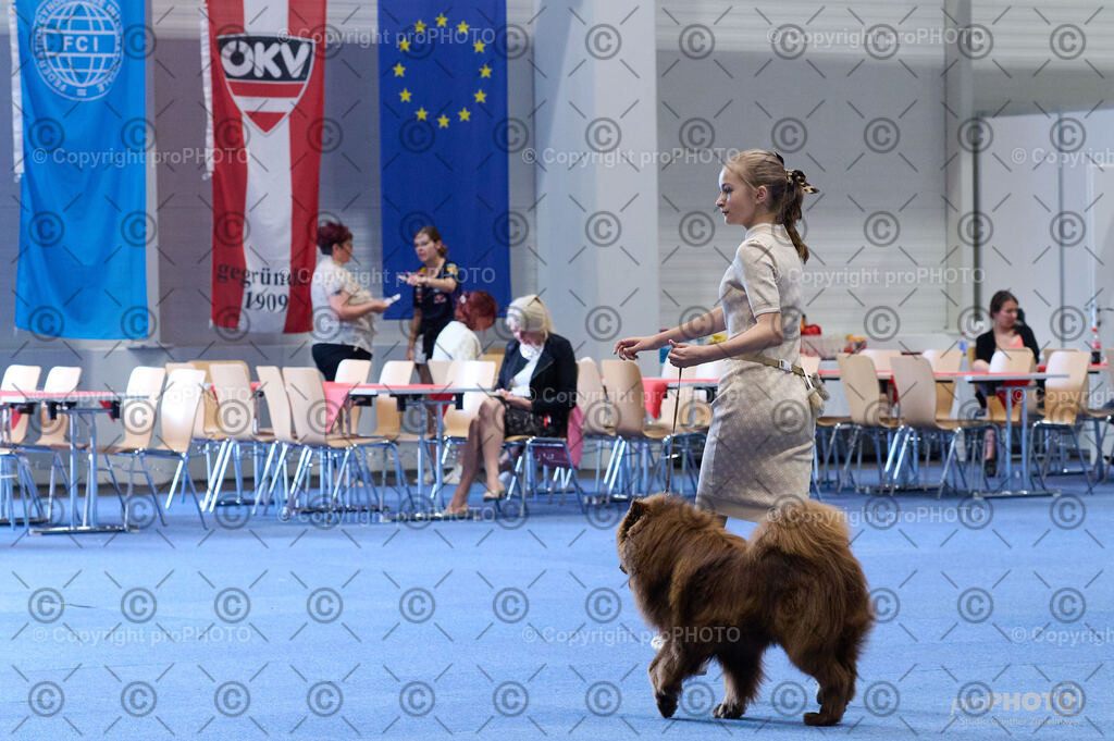 202406_ÖKV-IHA-Tulln24_DSC_4697 | proPHOTO - Realisiert mit Pictrs.com