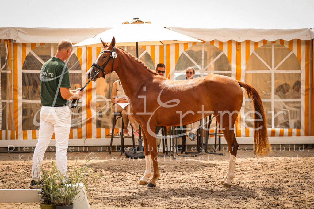 11.So00059 | Leoni Ertmer Photography - Realisiert mit Pictrs.com