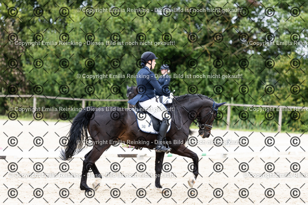 CL5A3570 | Emilia Reinking Fotografie - Realisiert mit Pictrs.com