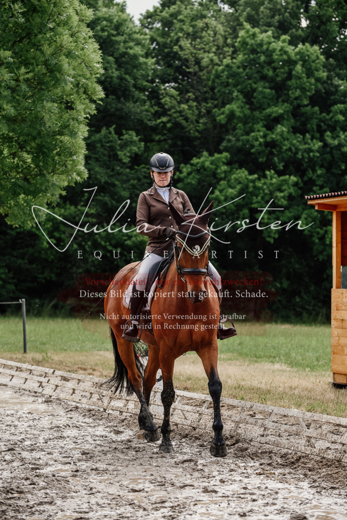 DSC_9494 | Pferde- und Turnierfotografie in Westsachsen. Pferdeportraits, Auftragszeichnungen und intuitive Kunst.