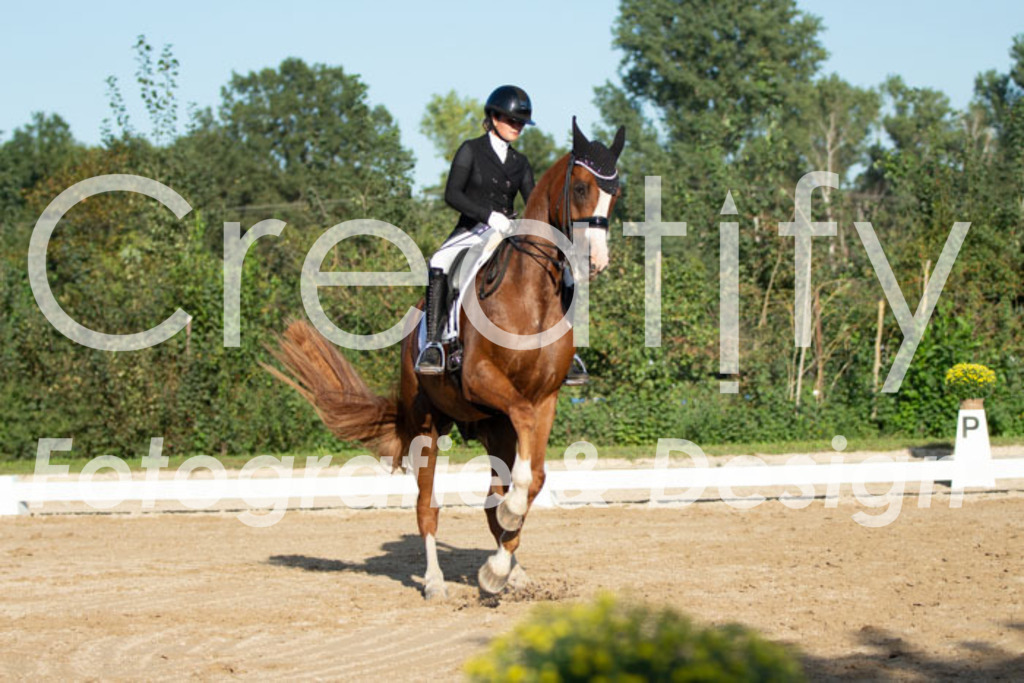 IMG_5837 | Creatify Fotografie