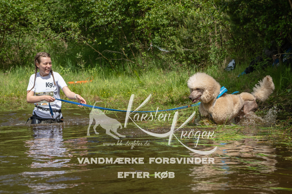 1217DKK992452 | kk-dogfotos
