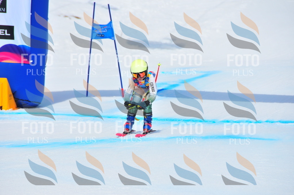 DSC_5764 | holidayphoto