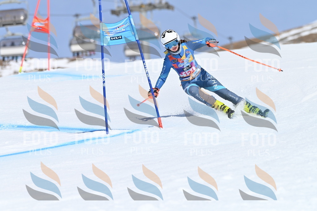 BGV_9876 | holidayphoto