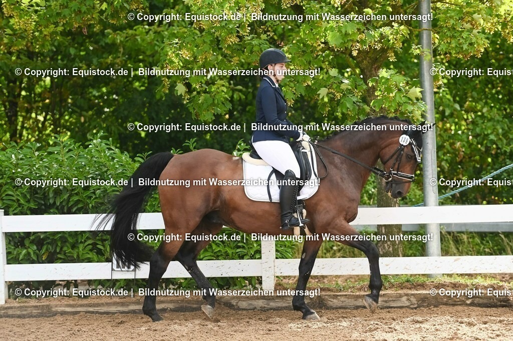 20230716_04_Dressurreiterprüfung Kl.A_0261 | equistock