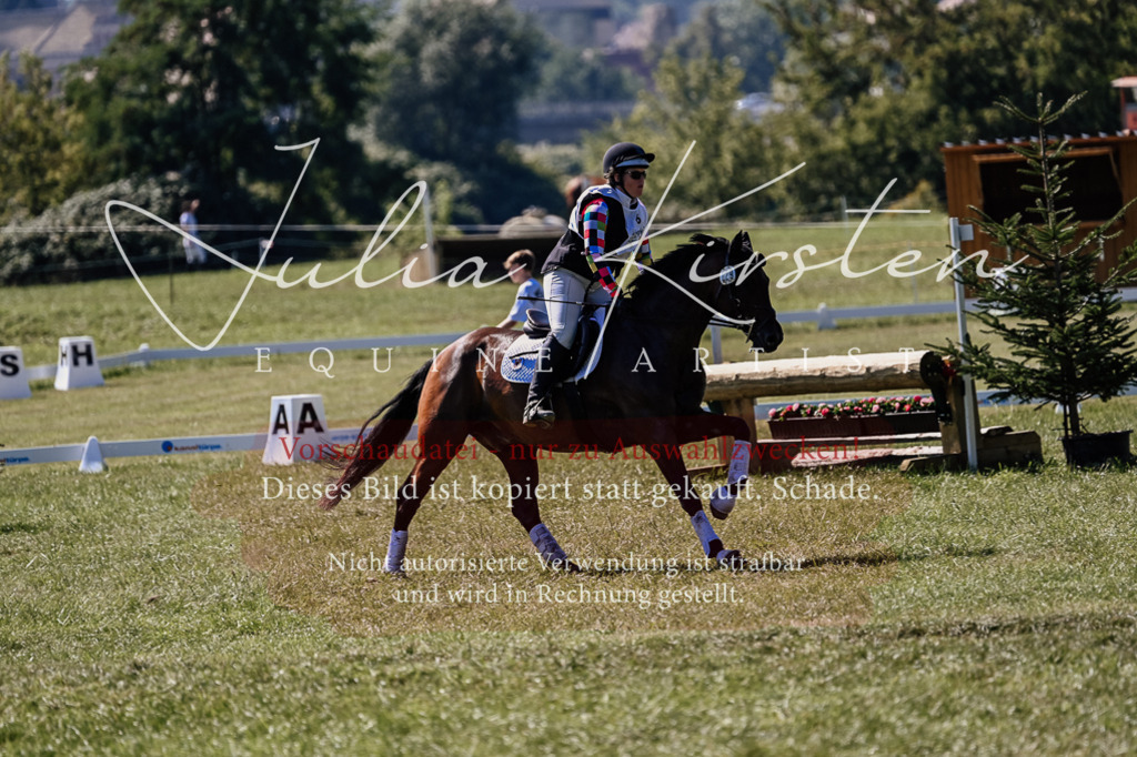 DSC_1563 | Pferde- und Turnierfotografie in Westsachsen. Pferdeportraits, Auftragszeichnungen und intuitive Kunst.