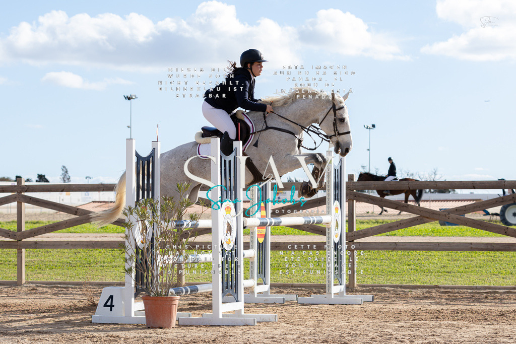 IMG_8017 | s-jay-photography - Realisiert mit Pictrs.com