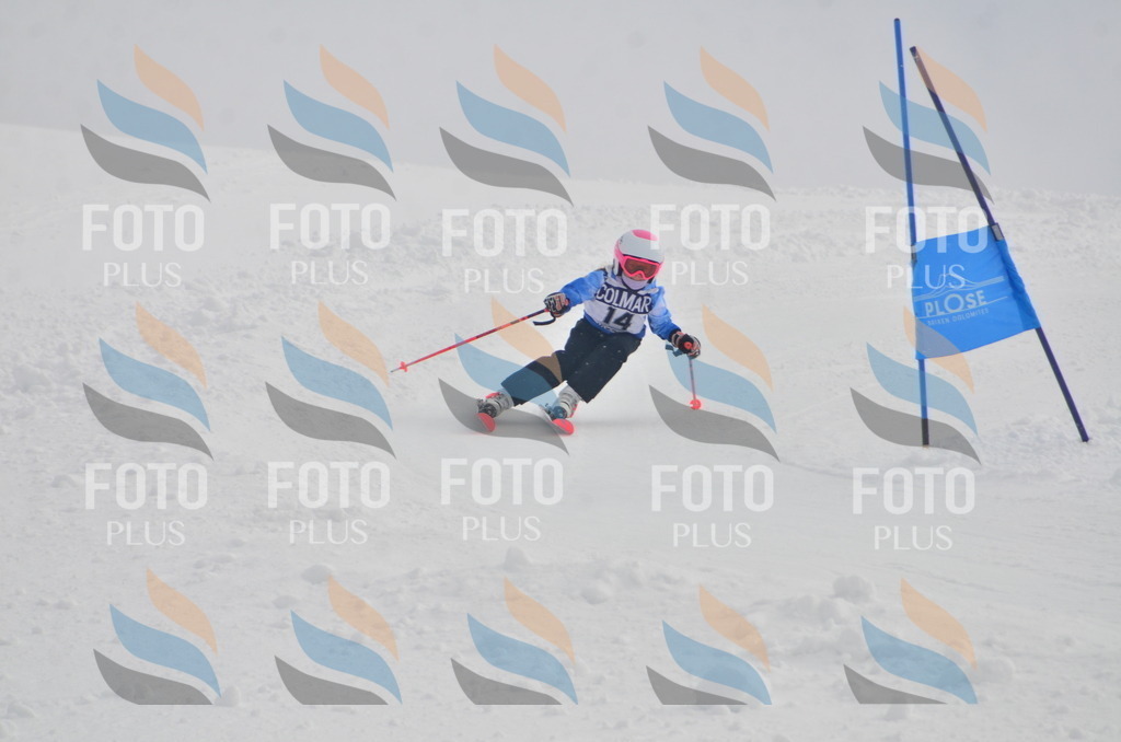 A5098 | holidayphoto