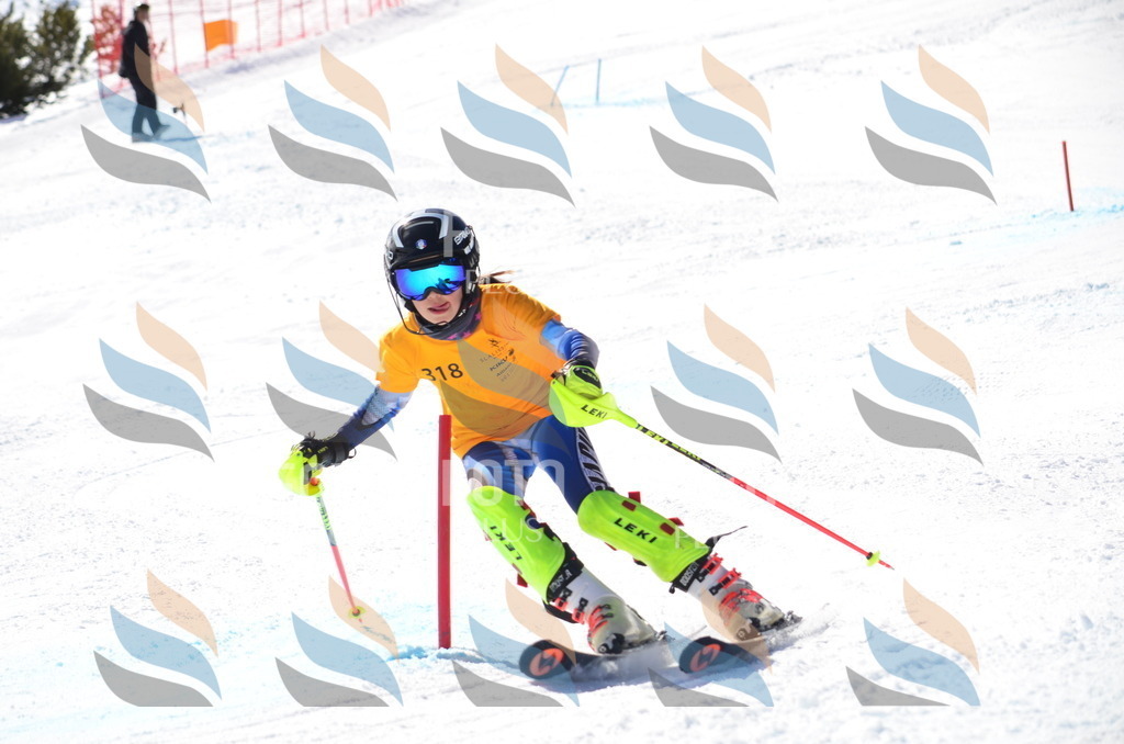 C9570 | holidayphoto