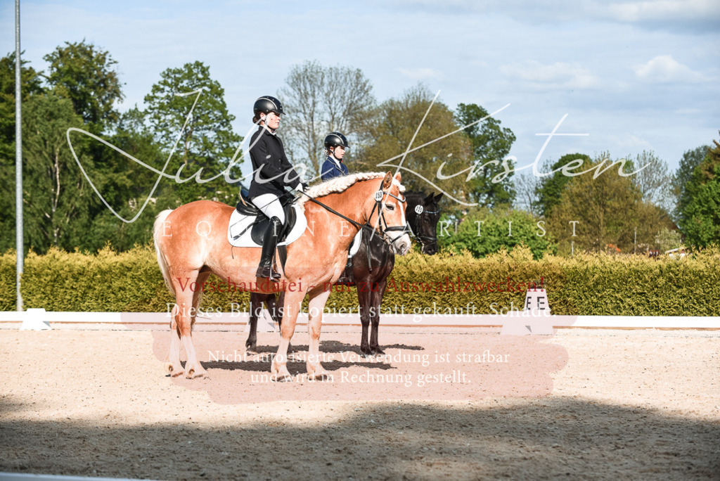 20230518_JK-Röhrsdorf-12-1032 | Pferde- und Turnierfotografie in Westsachsen. Pferdeportraits, Auftragszeichnungen und intuitive Kunst.