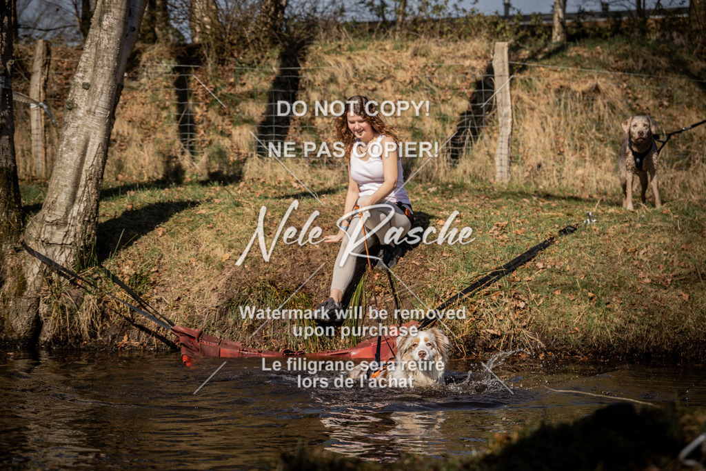 nelerasche_FS1100-1145_445 | nelerasche