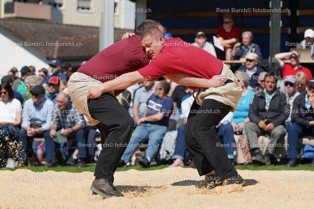20220418-DSC07573 | René Burch leidenschaftlicher Fotograf aus Kerns in Obwalden.  Hier finden sie Sport, Landschaft und Natur Fotografie.
 - Realisiert mit Pictrs.com