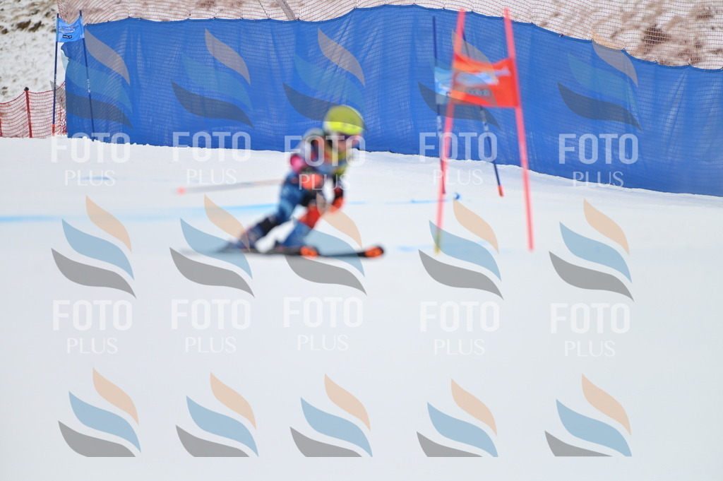 BGV_2652 | holidayphoto