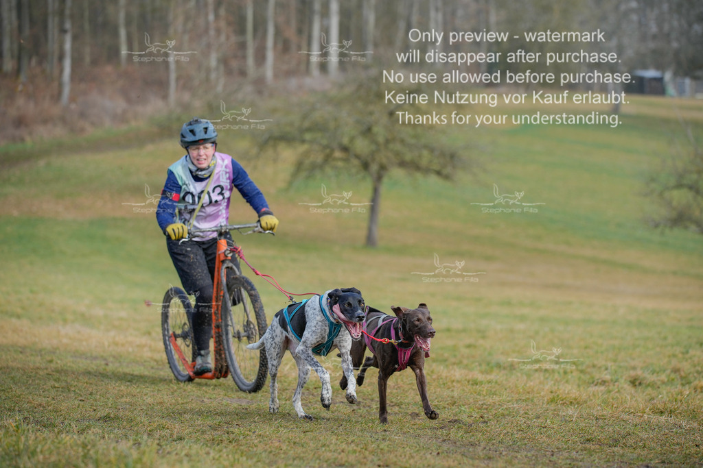 Sa_Scooter2-8 | stephaniefillaphotographie - Realisiert mit Pictrs.com