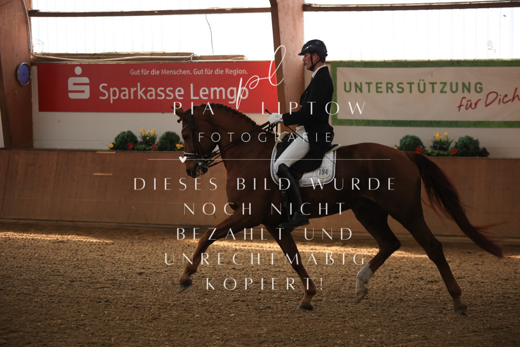 IMGT4169 | pl-fotografie