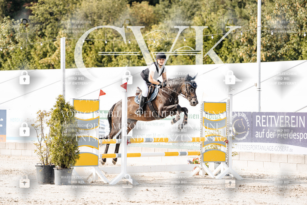 CK905736 | Turnierfotografie Pferdefotografie Trier Rheinland-Pfalz Pferdesport Reitsport Tierfotografie Sportfotografie Pferdevideo Pferdevideografie Equestrianvideography equestrianphotography  - Realisiert mit Pictrs.com