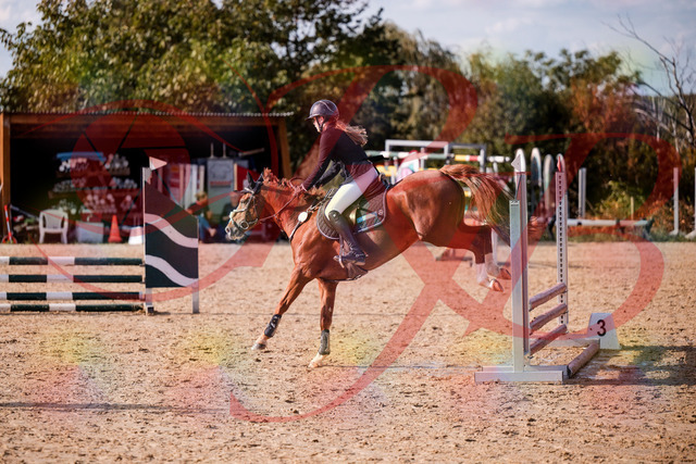 2026_10_03_Siefer-Hof_155758_Z81_77721838 | Professionelle Reitsport-, Turnier- und Eventfotografie von Robert Broda. Galerien mit ausgewählten und bearbeiteten Bildern direkt online ansehen und bestellen.