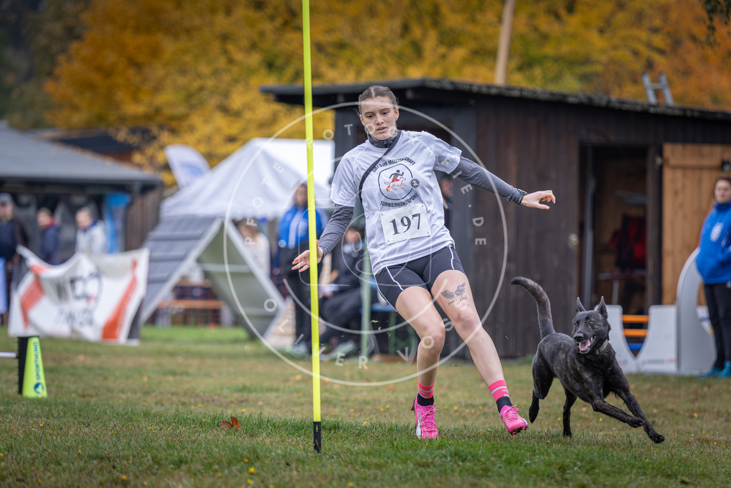 Pfotenfotografie_DV3A0755 | Hundefotografie, Tierfotograf, Pfotenfotografie, Fotoshooting Hund, Hunde Portrait, Hundesport, Hundeportraits, Heideshooting, Hunde, Sportfotograf, Hundefotograf, Turnierhundsport, THS,  - Realisiert mit Pictrs.com