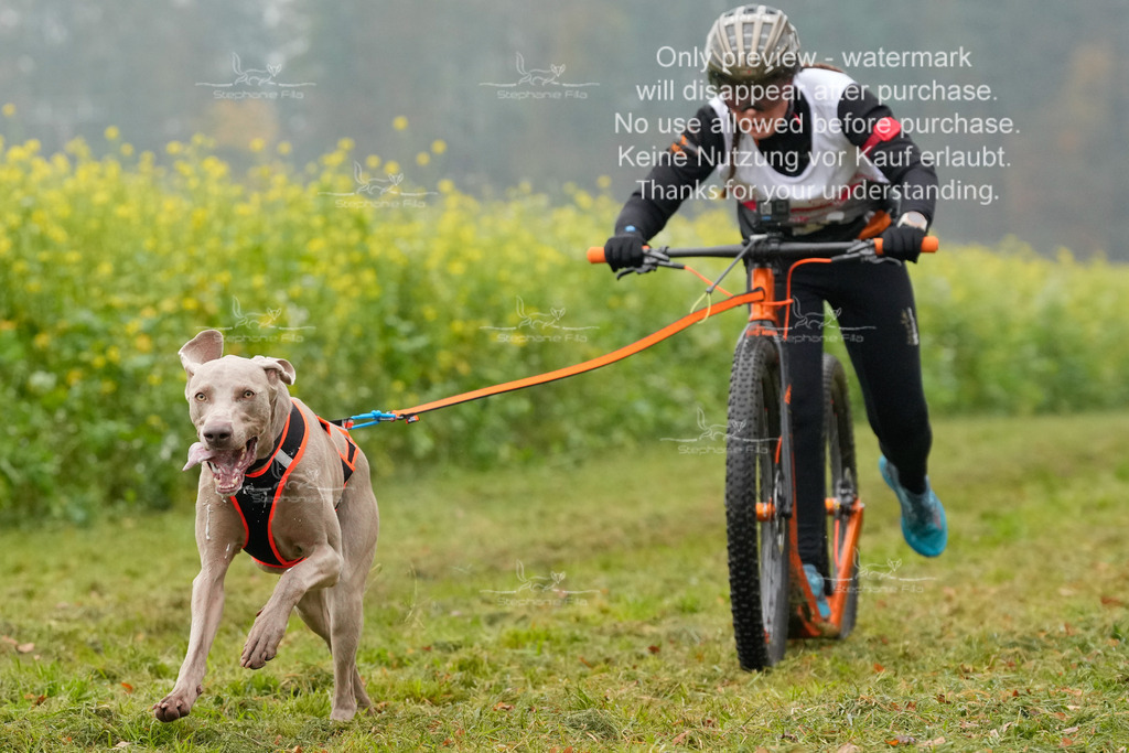 AusschnitteSa-43 | stephaniefillaphotographie - Realisiert mit Pictrs.com