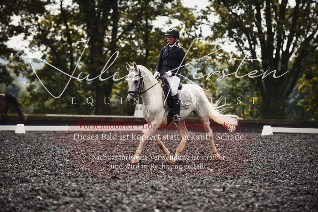 DSC_3915 | Pferde- und Turnierfotografie in Westsachsen. Pferdeportraits, Auftragszeichnungen und intuitive Kunst.