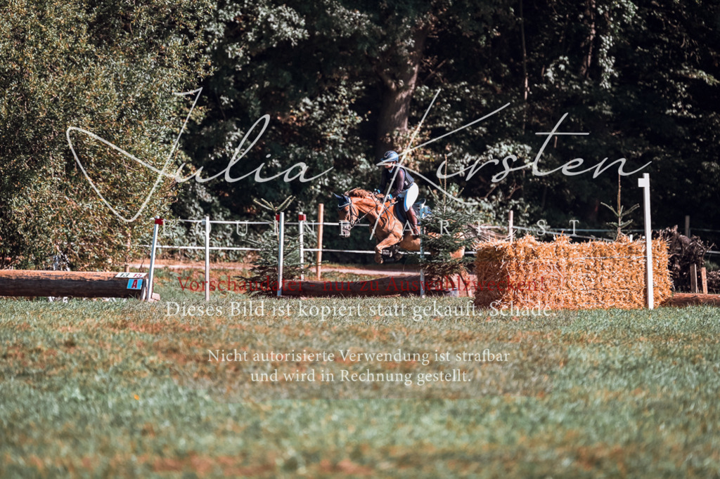 DSC_0794 | Pferde- und Turnierfotografie in Westsachsen. Pferdeportraits, Auftragszeichnungen und intuitive Kunst.
