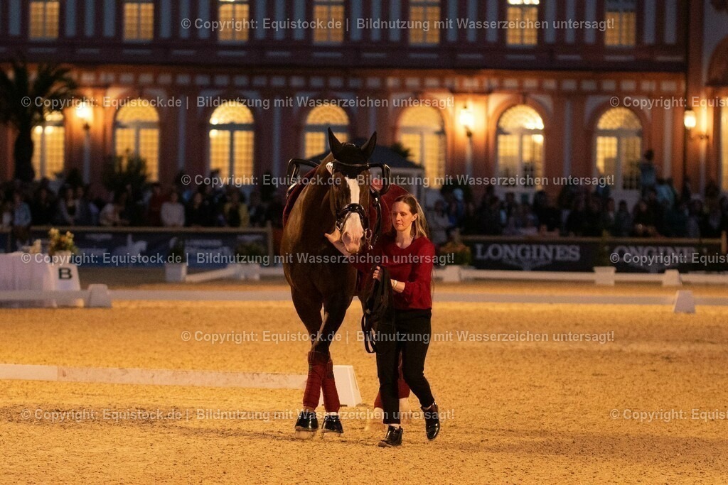 20230527_Voltigieren_NASPA_Flutlicht_0644 | equistock