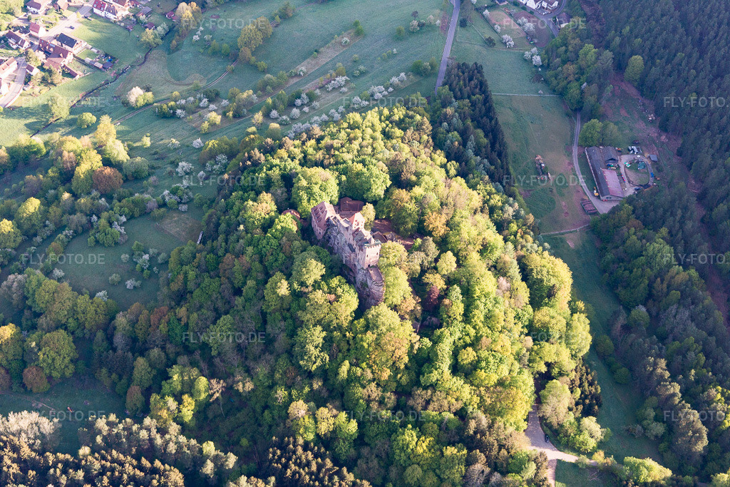 Luftbild: Burg Berwartstein in Erlenbach bei Dahn im Bundesland Rheinland-Pfalz in Deutschland. Foto: IMG_107030.jpg vom 27.04.2018 durch Werner Riehm/FLY-FOTO.de