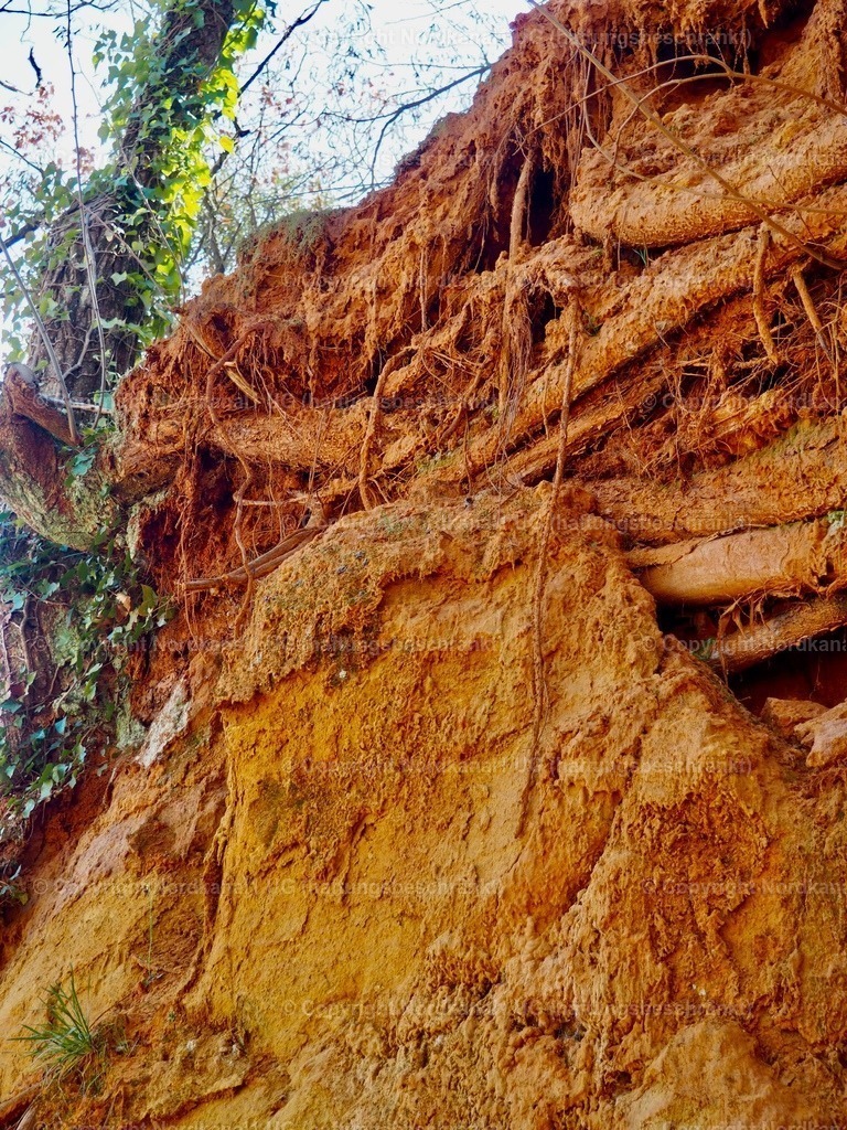 IMG_2911 | OLYMPUS DIGITAL CAMERA          - Realisiert mit Pictrs.com