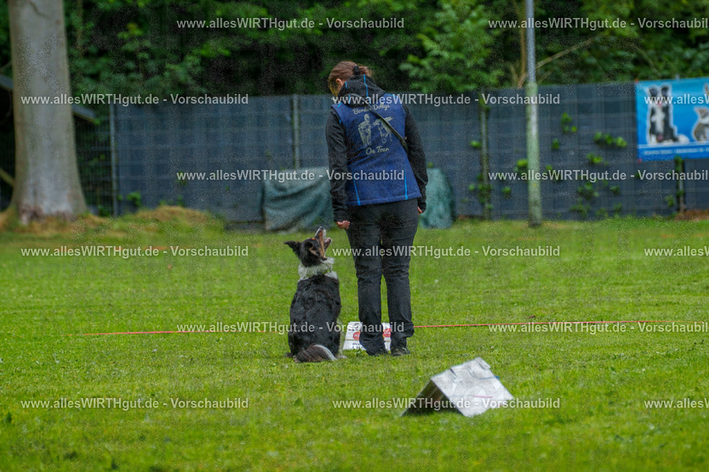 @allesWIRTHgut_Tierfotografie - www.allesWIRTHgut.de - 7R502308 | Professionelle Tierfotografie in Mönchengladbach von Daniel Wirth (allesWIRTHgut). Liebevolle & natürliche Bilder von Hunden & Katzen für unvergessliche Erinnerungen.