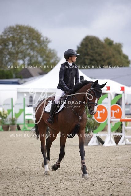 1J2A1778Antonia Selina Brinkop_ Con Calma 3_ Kn261_ Havekost | Foto- und Videografie für alles rund ums Pferd. Hochwertige Bilder und Videos vom Spring- und Dressurreiten, Voltigieren & mehr. Jetzt aktuelle Veranstaltungen und Preise im Shop ansehen. - Realisiert mit Pictrs.com