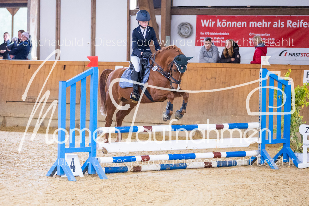 Sth-E-Springen-027 | MomenTaufnahmen Pferdesportfotos