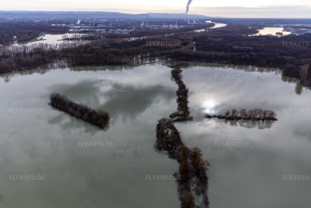 Luftbild: Überfluteter Altrhein / Polder Neupotz in Wörth am Rhein im Bundesland Rheinland-Pfalz in Deutschland. Foto: IMG_124214.jpg vom 04.02.2021 durch Werner Riehm/FLY-FOTO.de