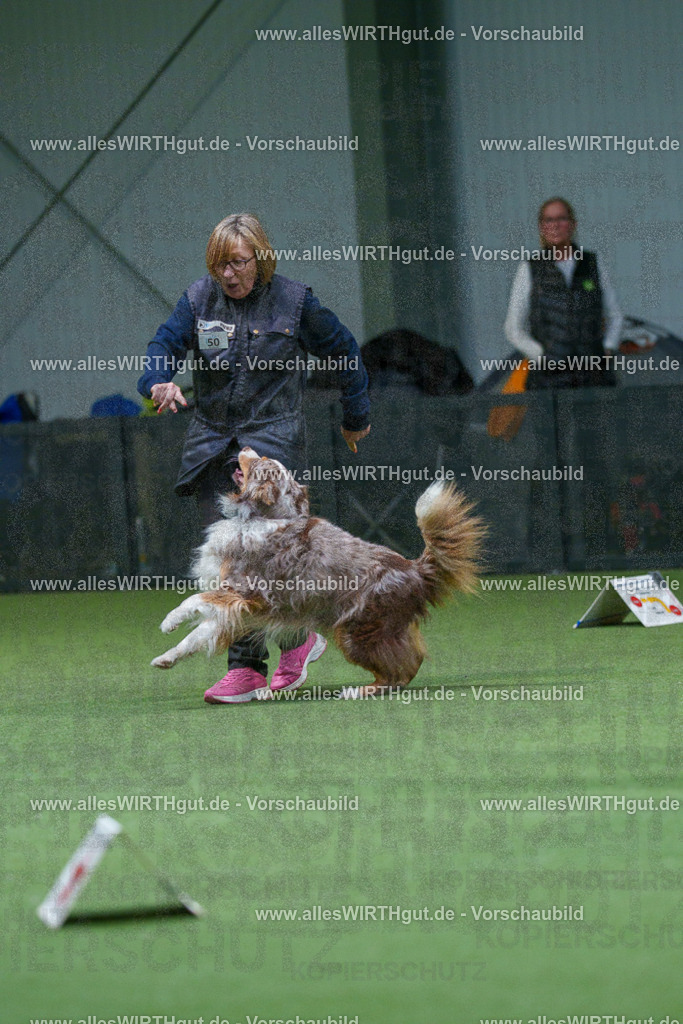 7R506385 | Professionelle Tierfotografie in Mönchengladbach von Daniel Wirth (allesWIRTHgut). Liebevolle & natürliche Bilder von Hunden & Katzen für unvergessliche Erinnerungen.
