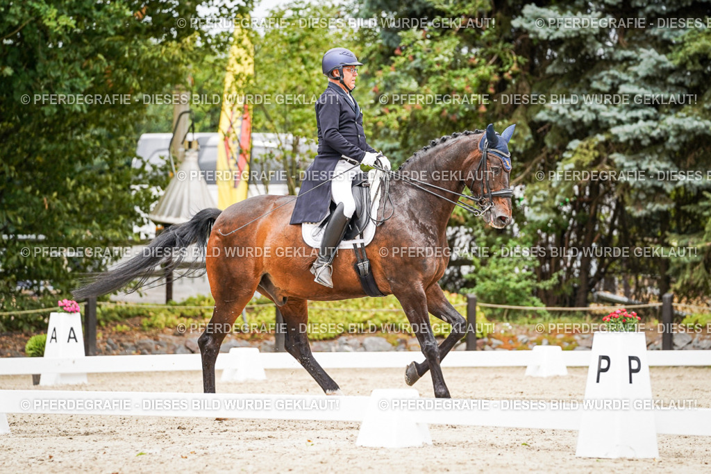 DSC05080 | Pferdegrafie