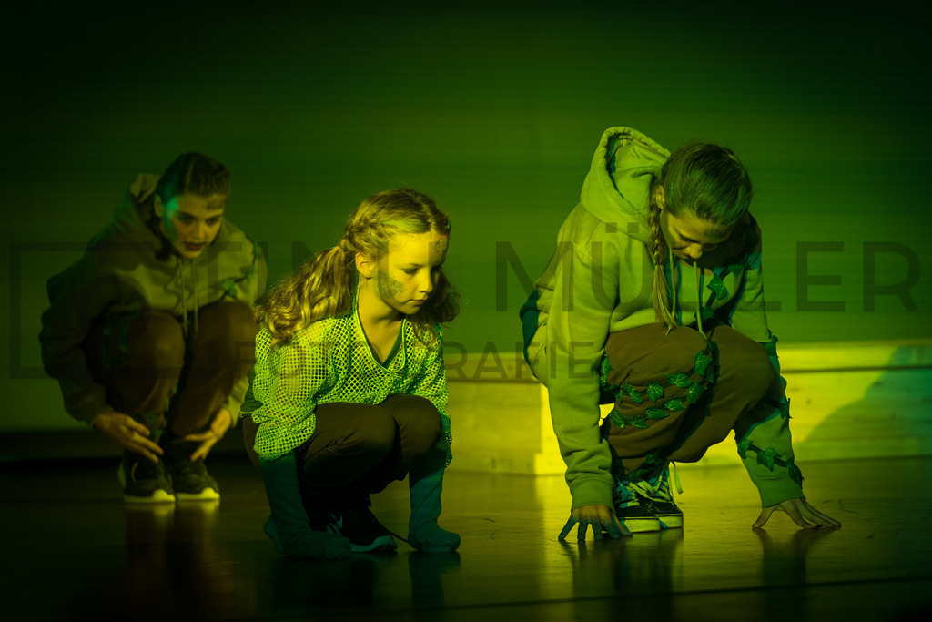 DSC05295 | Tinu Müller Fotografie- Bildershop - Realisiert mit Pictrs.com