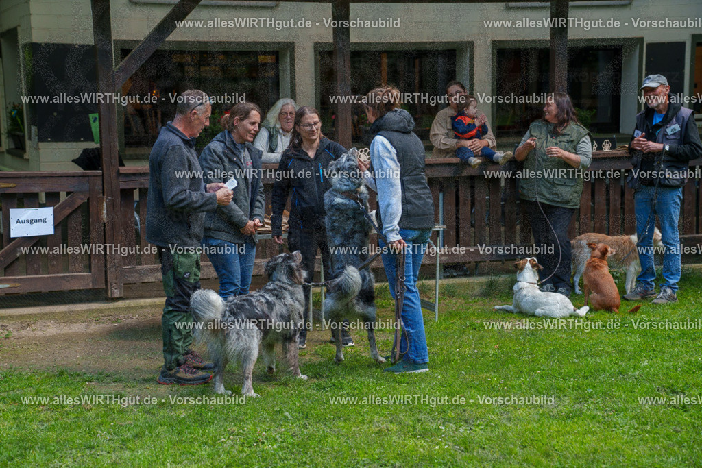 @allesWIRTHgut_Tierfotografie - www.allesWIRTHgut.de - 7R506146 | Professionelle Tierfotografie in Mönchengladbach von Daniel Wirth (allesWIRTHgut). Liebevolle & natürliche Bilder von Hunden & Katzen für unvergessliche Erinnerungen.