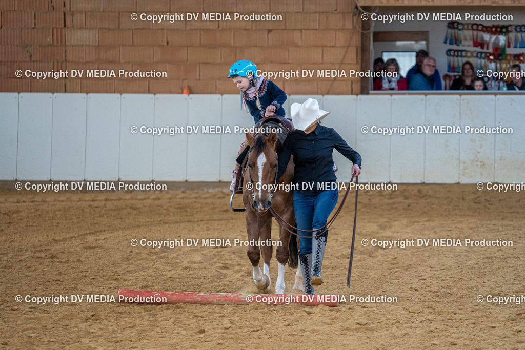 MIT01161 | dv-media-shop - Realisiert mit Pictrs.com