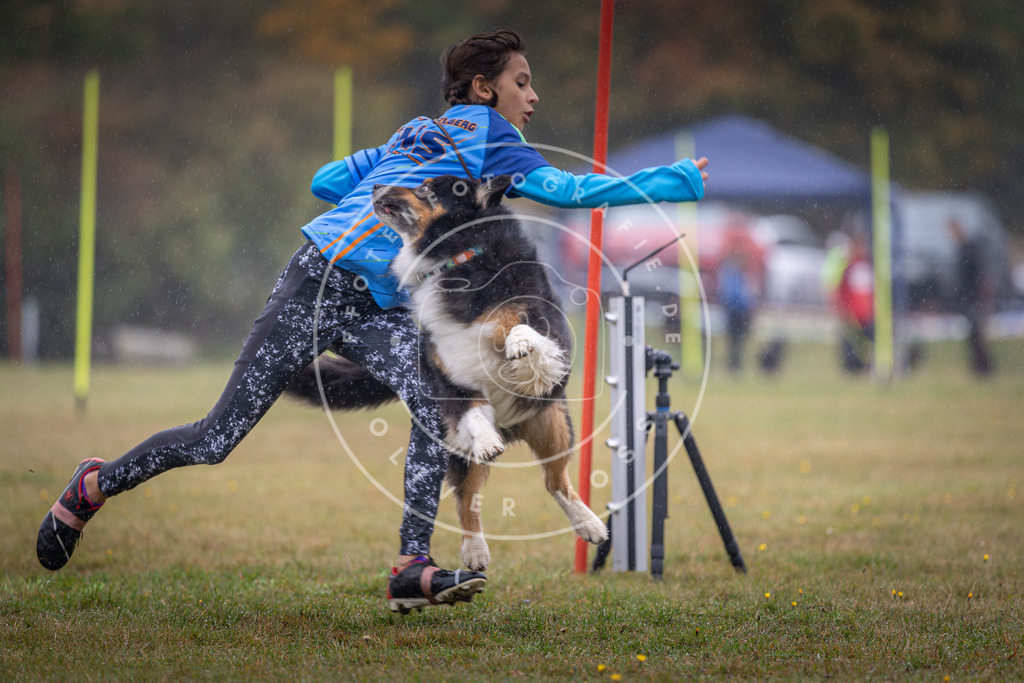 Pfotenfotografie_DV3A0022 | Hundefotografie, Tierfotograf, Pfotenfotografie, Fotoshooting Hund, Hunde Portrait, Hundesport, Hundeportraits, Heideshooting, Hunde, Sportfotograf, Hundefotograf, Turnierhundsport, THS,  - Realisiert mit Pictrs.com