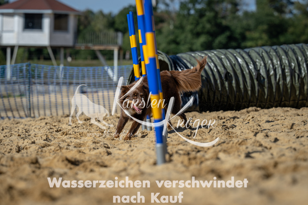 1233_ZZ93339-2 | kk-dogfotos