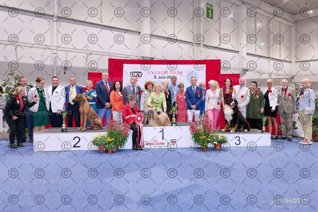 202406_ÖKV-IHA-Tulln24_NZ9_8836 | proPHOTO - Realisiert mit Pictrs.com