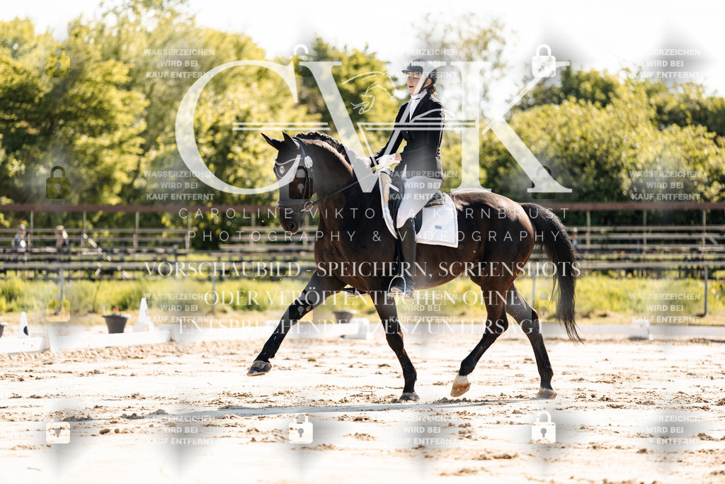 CK909246 | Turnierfotografie Pferdefotografie Trier Rheinland-Pfalz Pferdesport Reitsport Tierfotografie Sportfotografie Pferdevideo Pferdevideografie Equestrianvideography equestrianphotography  - Realisiert mit Pictrs.com