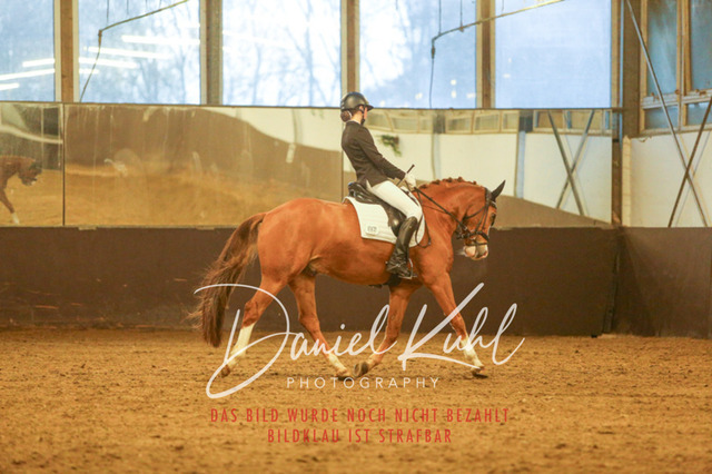 IMG_8268 | Turniersportfotografie; Pferdefotografie; Dressurfotografie