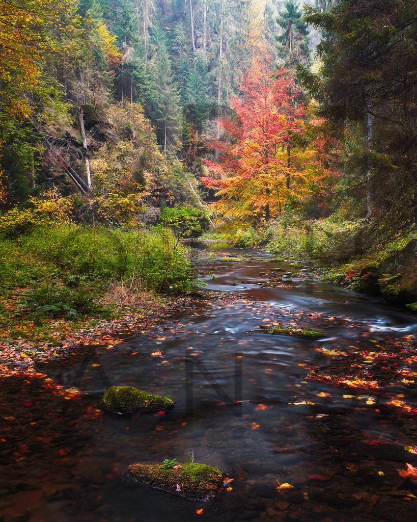 Ein Hans Fineart Original | Entdecke die Kunst von Hans Fineart - Fotografien für dein Zuhause. Verwandle deine Wände mit einzigartigen Kunstwerken und bringe die Schönheit der Welt in dein Leben. Bestelle jetzt und schaffe einen Ort der Inspiration und Eleganz.