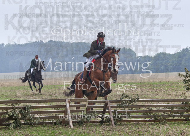 09-23 Jagd Perdöl_MCH9639_Marina Hewig | Fotografie, FotoArt, PferdesportArt, Pferdesportfotografie, Landschaftsfotografie, Reisefotografie, Reise, Pferde - Realisiert mit Pictrs.com