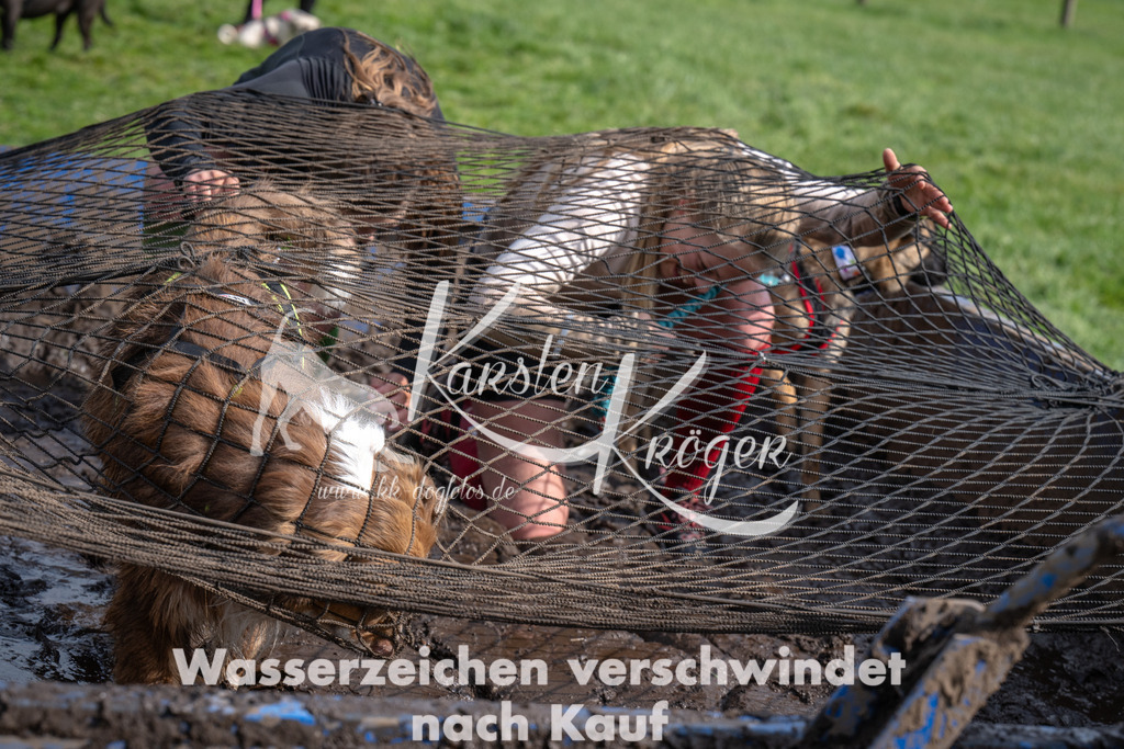 1416_ZZ91761 | kk-dogfotos