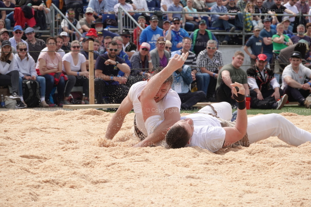 DSC03676 | Schwingen - Realisiert mit Pictrs.com