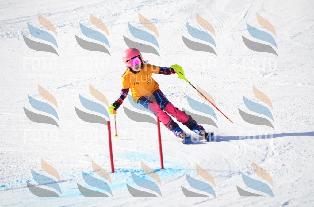 C5967 | holidayphoto