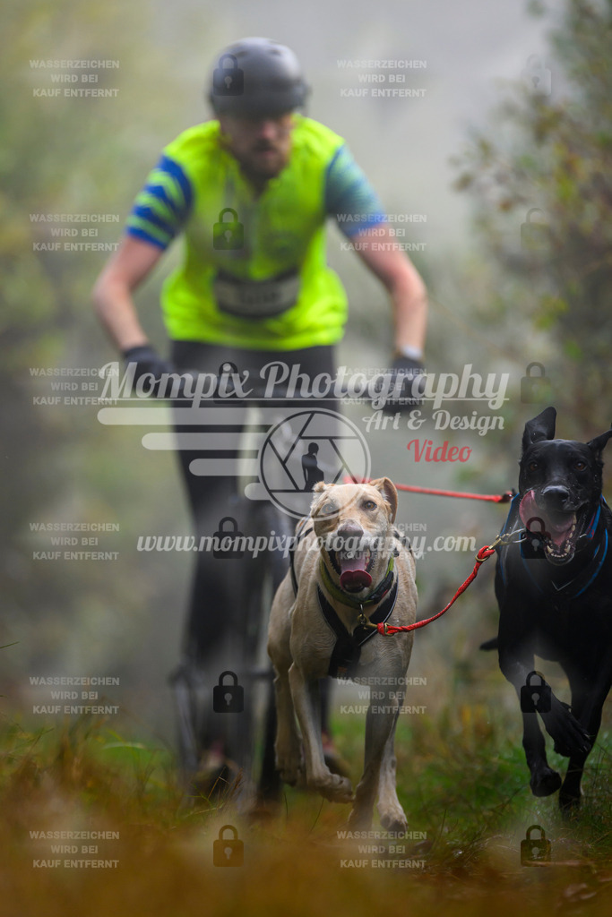 MompixPhotography_20TSB_E4_DS2-24 | PayLife