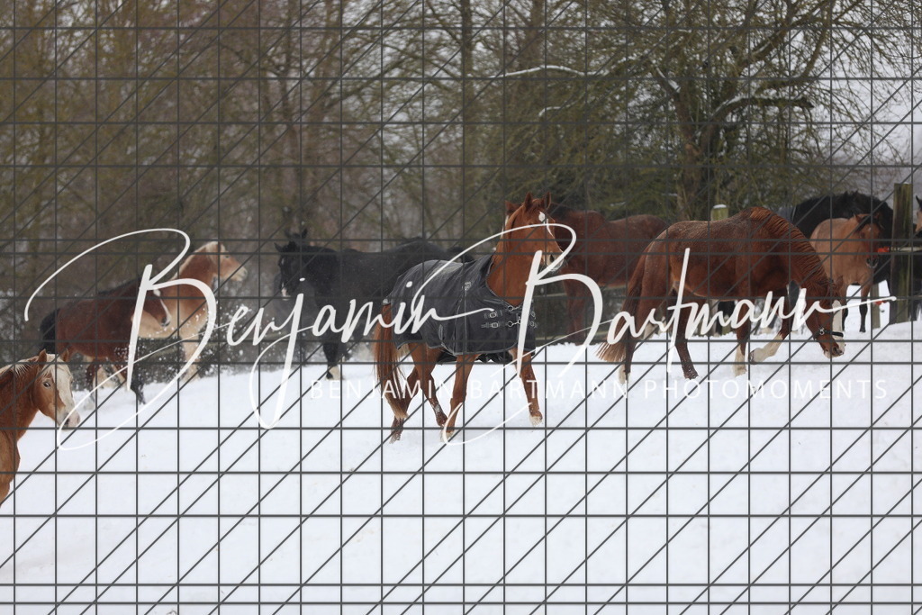 AZ2A3352 | Benjamin Bartmann Photomoments