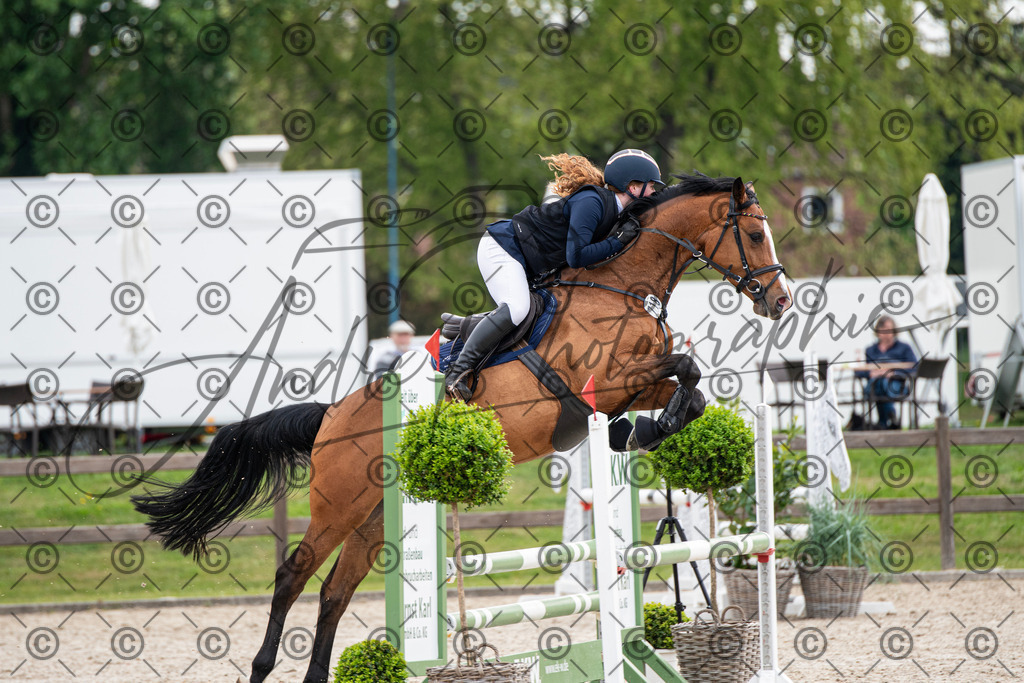 KPT_2115 | andre_photographic